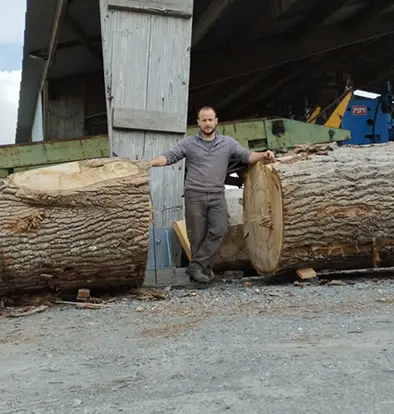 Vente de Bois et Bois de Sciage à Chemillé-en-Anjou en Maine-et-Loire  (49)